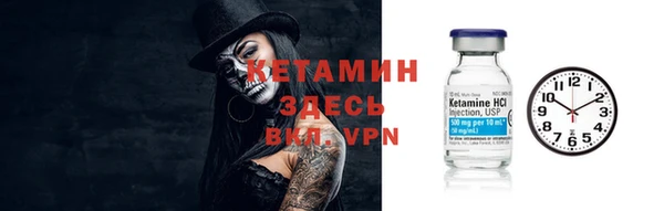трава Арсеньев